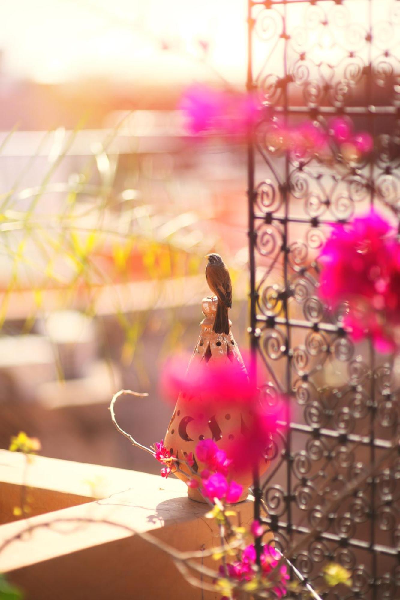 Riad Persephone Marrakesh Luaran gambar